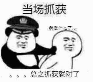 一只哈士奇骑在一匹马上(抱着哈士奇)