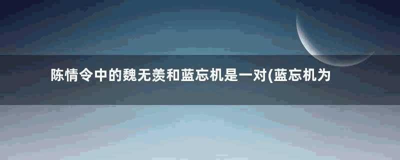 陈情令中的魏无羡和蓝忘机是一对(蓝忘机为什么一眼认出魏无羡)