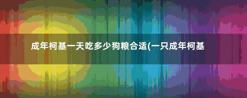 成年柯基一天吃多少狗粮合适(一只成年柯基犬一天吃多少狗粮)