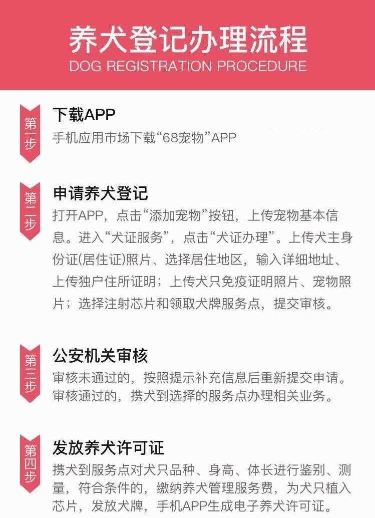 郴州养狗需要办狗证嘛(郴州狗狗怎么办狗证)