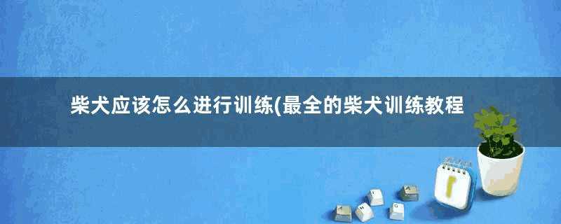 柴犬应该怎么进行训练(最全的柴犬训练教程)