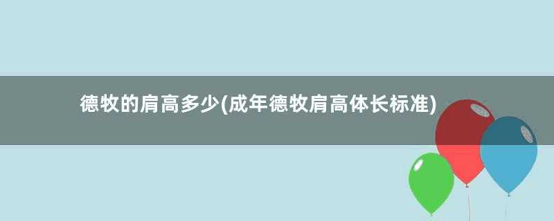 德牧的肩高多少(成年德牧肩高体长标准)