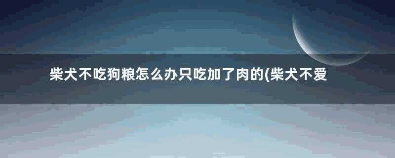 柴犬不吃狗粮怎么办只吃加了肉的(柴犬不爱吃狗粮怎么办)