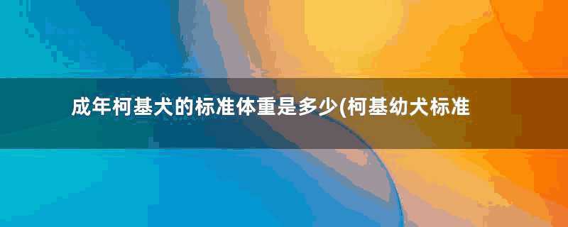 成年柯基犬的标准体重是多少(柯基幼犬标准体重)