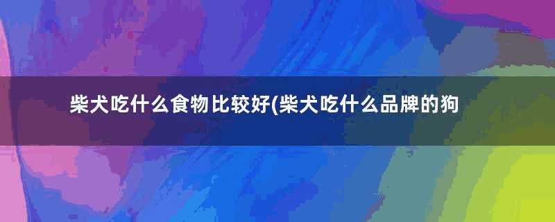 柴犬吃什么食物比较好(柴犬吃什么品牌的狗粮好,推荐一下)