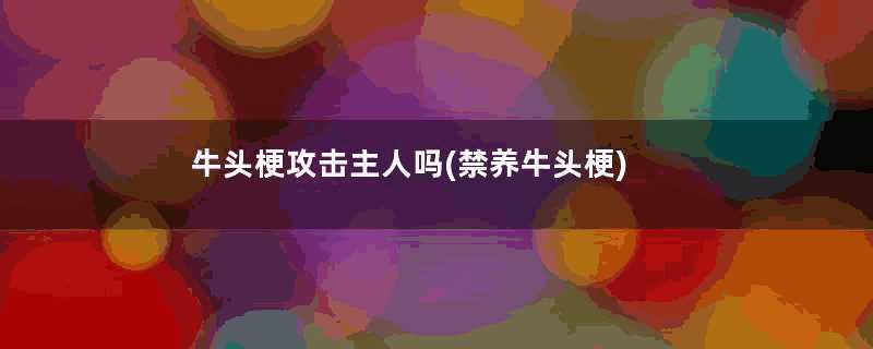 牛头梗攻击主人吗(禁养牛头梗)