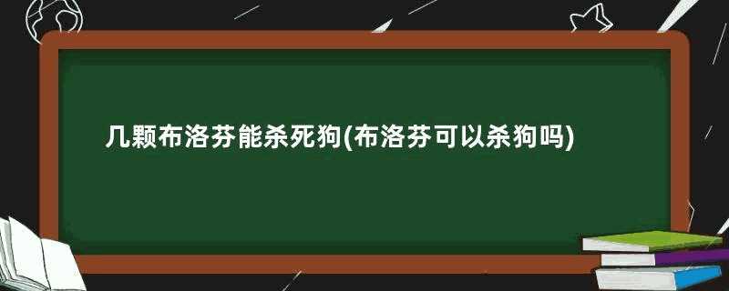 几颗布洛芬能杀死狗(布洛芬可以杀狗吗)