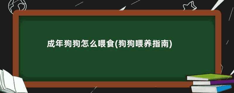 成年狗狗怎么喂食(狗狗喂养指南)