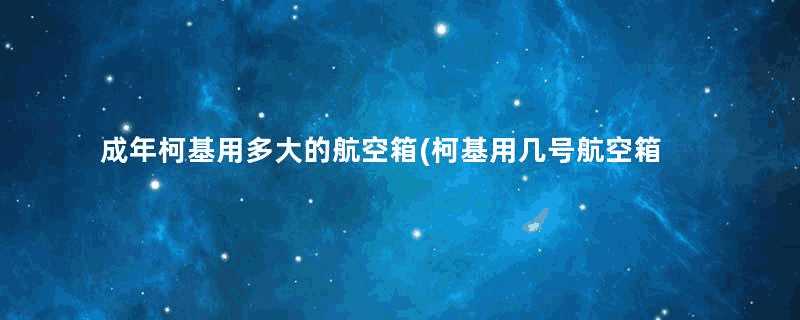 成年柯基用多大的航空箱(柯基用几号航空箱)