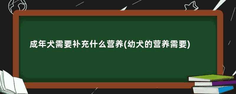 成年犬需要补充什么营养(幼犬的营养需要)