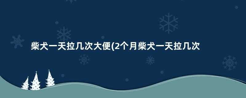 柴犬一天拉几次大便(2个月柴犬一天拉几次)