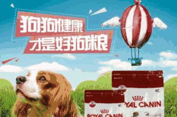 成年犬可不可以吃幼犬粮(成年犬吃幼犬粮好不好)