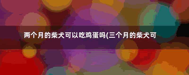 两个月的柴犬可以吃鸡蛋吗(三个月的柴犬可以吃鸡蛋吗)