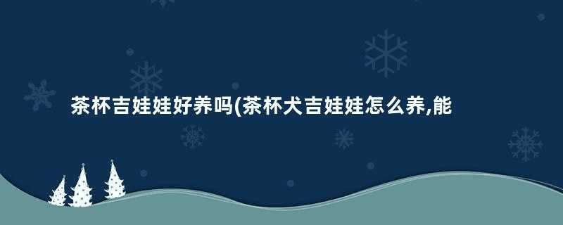 茶杯吉娃娃好养吗(茶杯犬吉娃娃怎么养,能活多久)