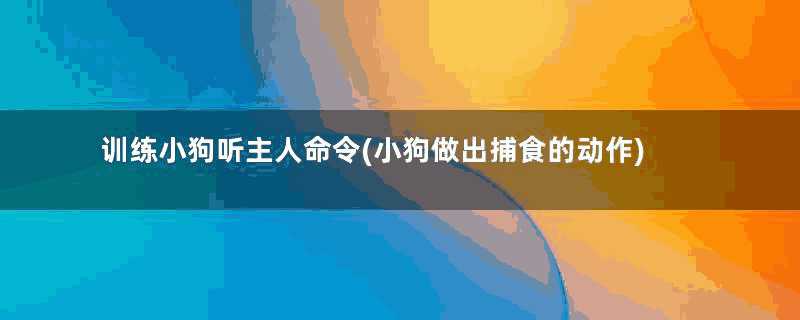 训练小狗听主人命令(小狗做出捕食的动作)