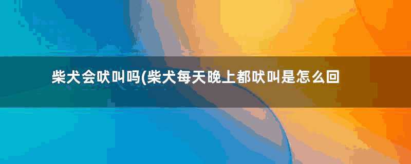 柴犬会吠叫吗(柴犬每天晚上都吠叫是怎么回事)