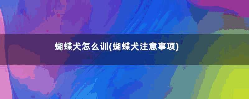 蝴蝶犬怎么训(蝴蝶犬注意事项)