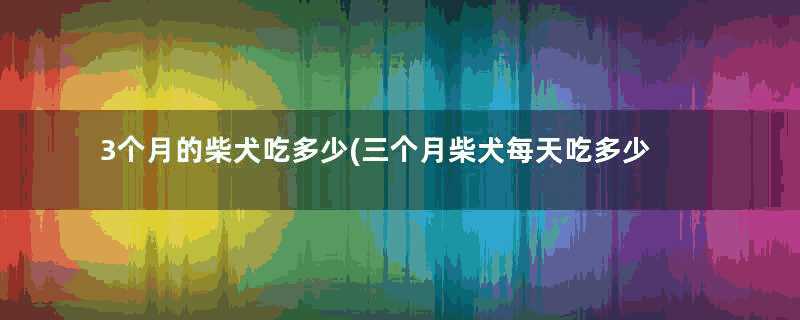 3个月的柴犬吃多少(三个月柴犬每天吃多少)