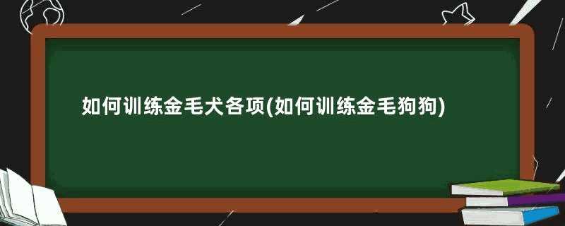 如何训练金毛犬各项(如何训练金毛狗狗)