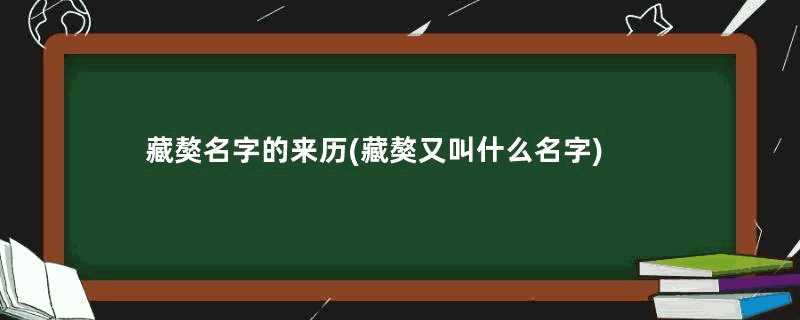 藏獒名字的来历(藏獒又叫什么名字)