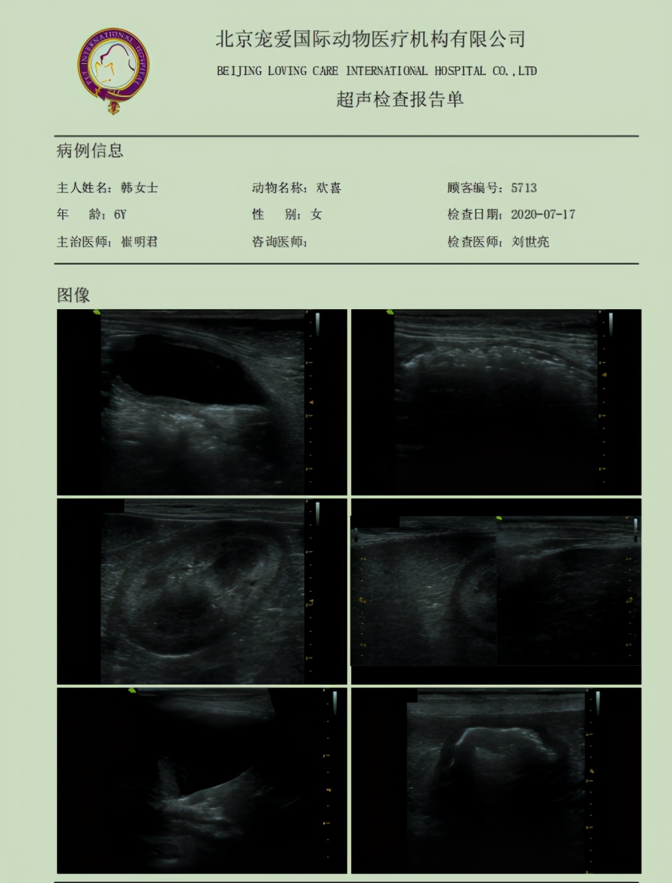 患有「乳腺肿瘤」的狗狗，该怎么防治不再遭受痛苦？