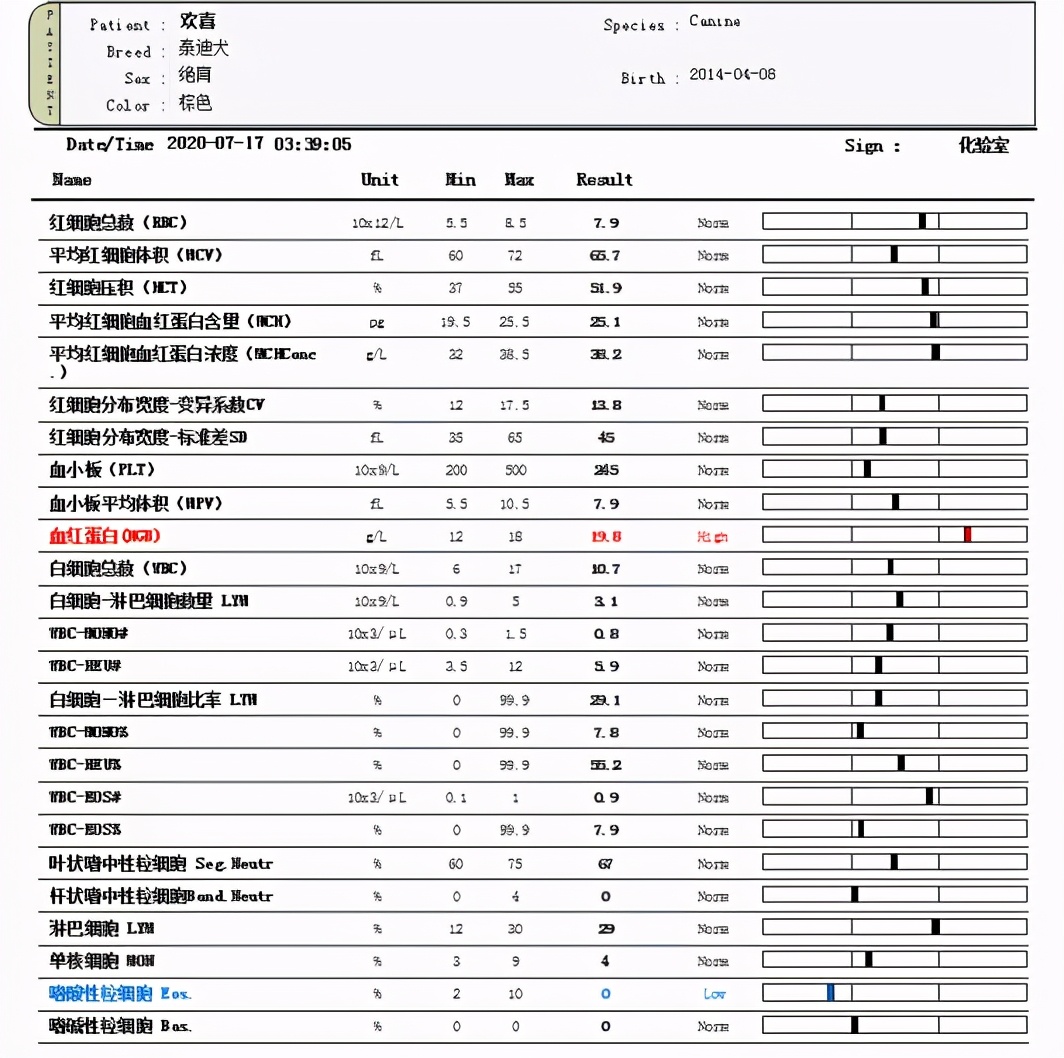 患有「乳腺肿瘤」的狗狗，该怎么防治不再遭受痛苦？