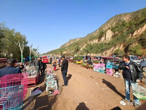 附近卖狗的地方在哪里（附近卖狗的地方活狗批发市场）