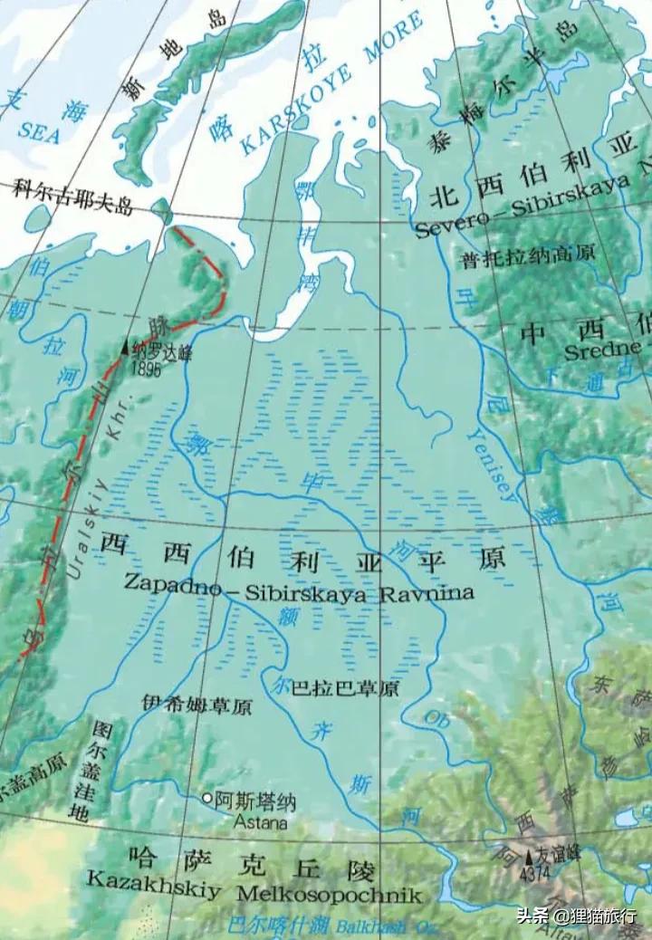 西伯利亚森林猫是俄罗斯国猫，尾巴蓬松体型大，喜群居有家族观念