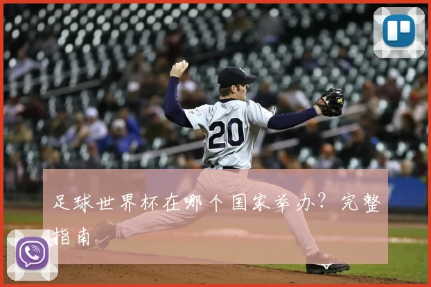 足球世界杯在哪个国家举办?完整指南