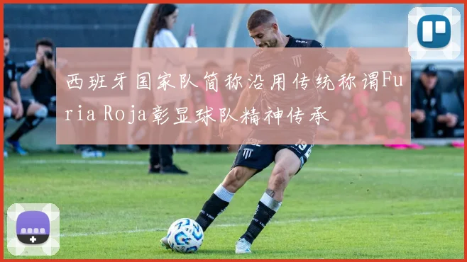 西班牙国家队简称沿用传统称谓Furia Roja彰显球队精神传承