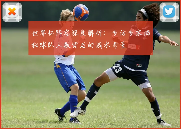 世界杯阵容深度解析：专访专家揭秘球队人数背后的战术考量