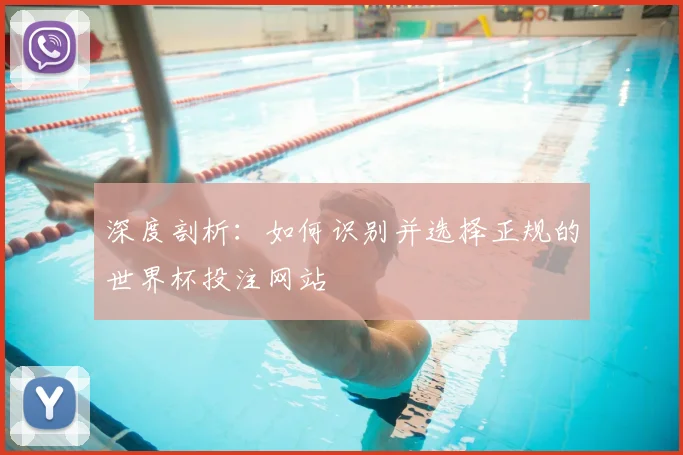 深度剖析:如何识别并选择正规的世界杯投注网站