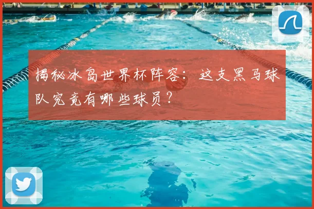 揭秘冰岛世界杯阵容:这支黑马球队究竟有哪些球员?