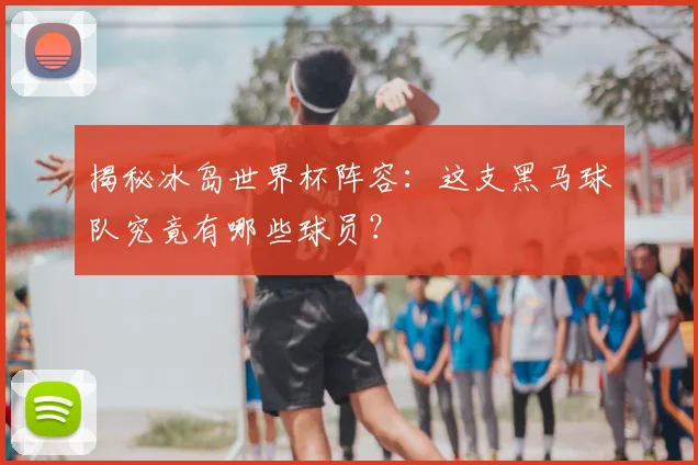 揭秘冰岛世界杯阵容:这支黑马球队究竟有哪些球员?