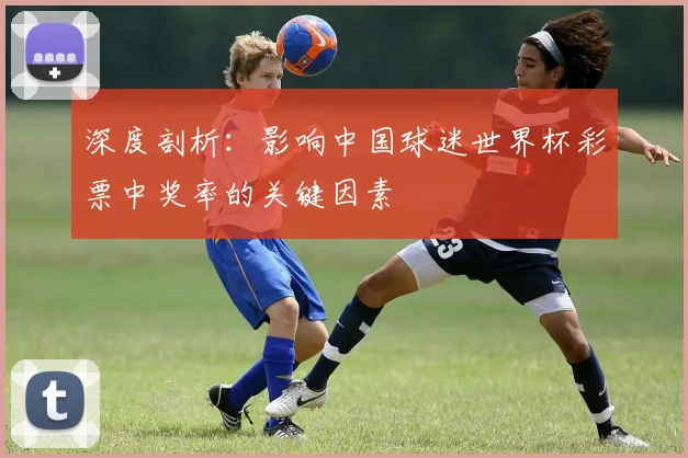 深度剖析:影响中国球迷世界杯彩票中奖率的关键因素