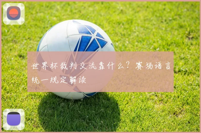 世界杯裁判交流靠什么?赛场语言统一规定解读