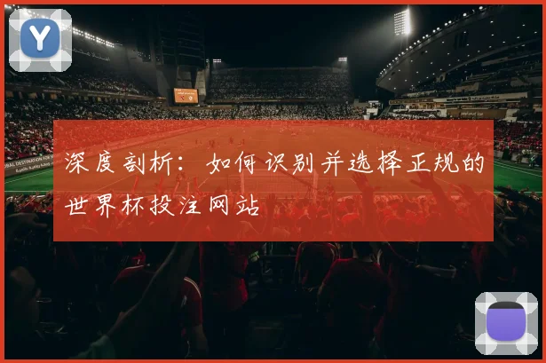 深度剖析:如何识别并选择正规的世界杯投注网站
