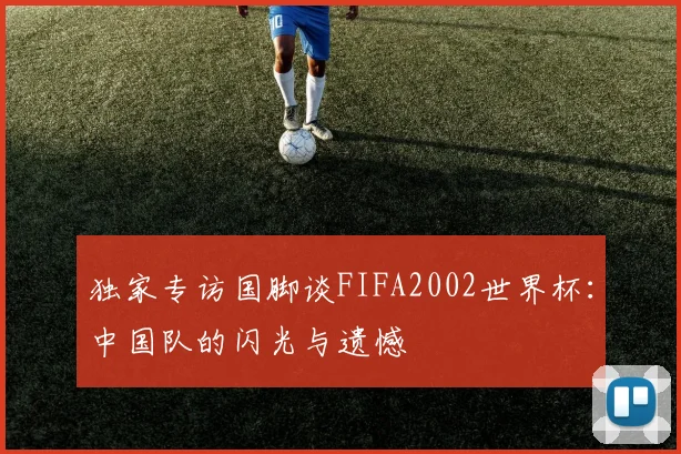 独家专访国脚谈FIFA2002世界杯:中国队的闪光与遗憾