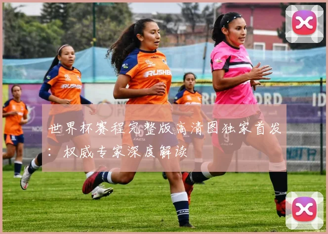 世界杯赛程完整版高清图独家首发：权威专家深度解读