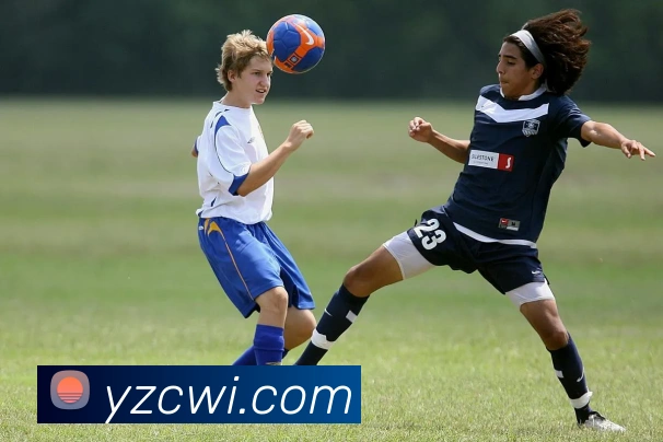 滚球买球的appAPP 封面图